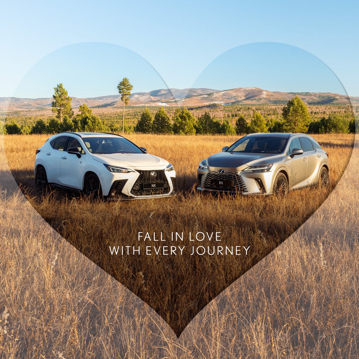 Lexus South Africa tweet media