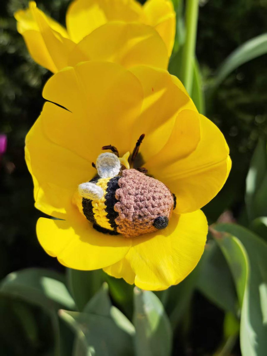 零下100°C tweet media