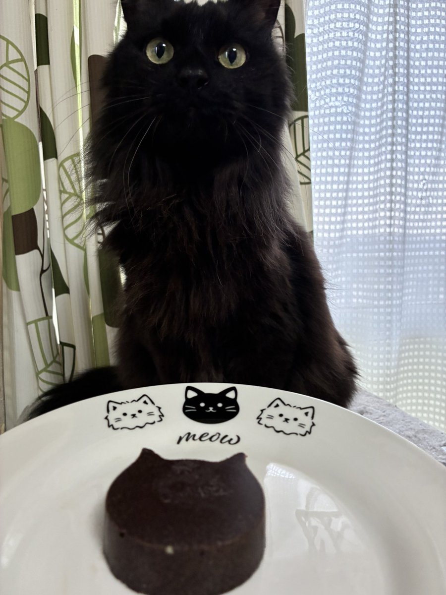 俺様のテリーヌショコラ