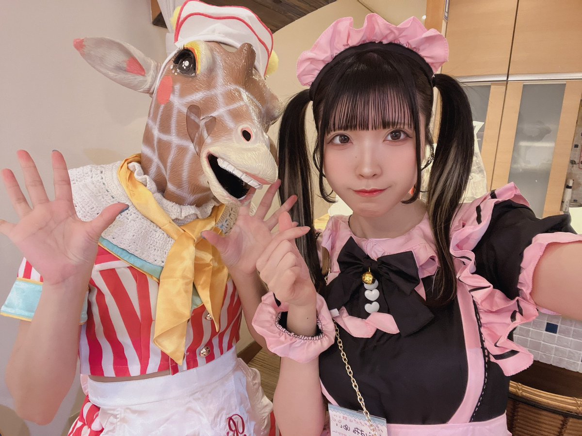 ユートピアニッシモ【official】 tweet media