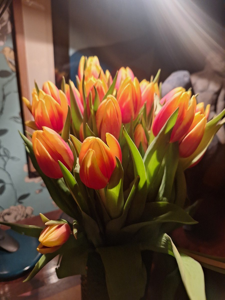 Our 45th Valentine's Day