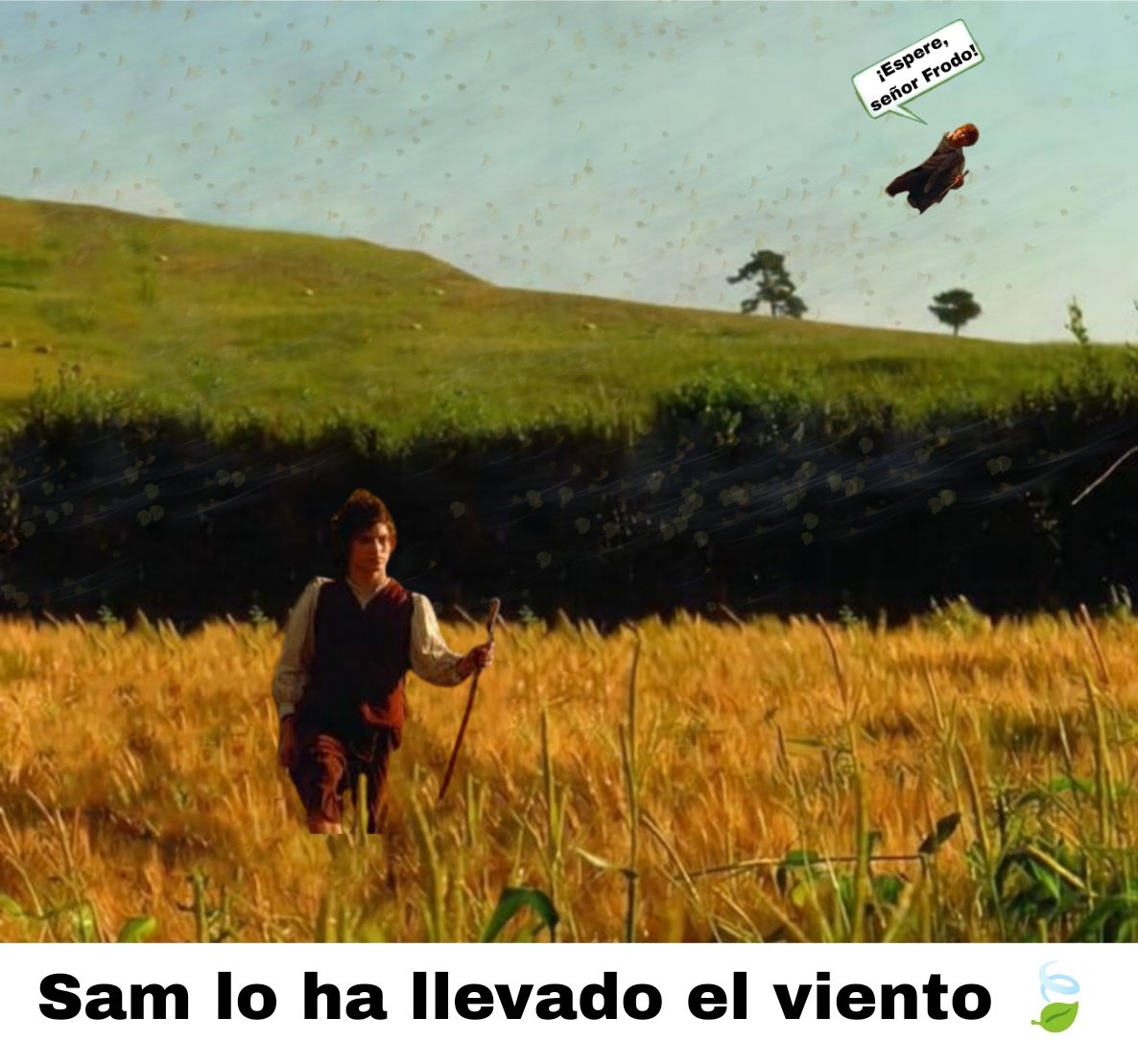 Mr.Fluffy&physics (TFG era 😳) tweet media