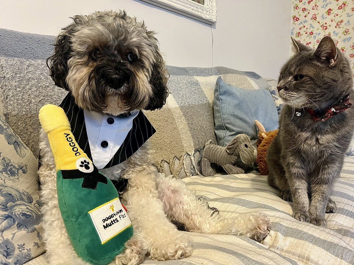 Malcolm & Baby Dog tweet media