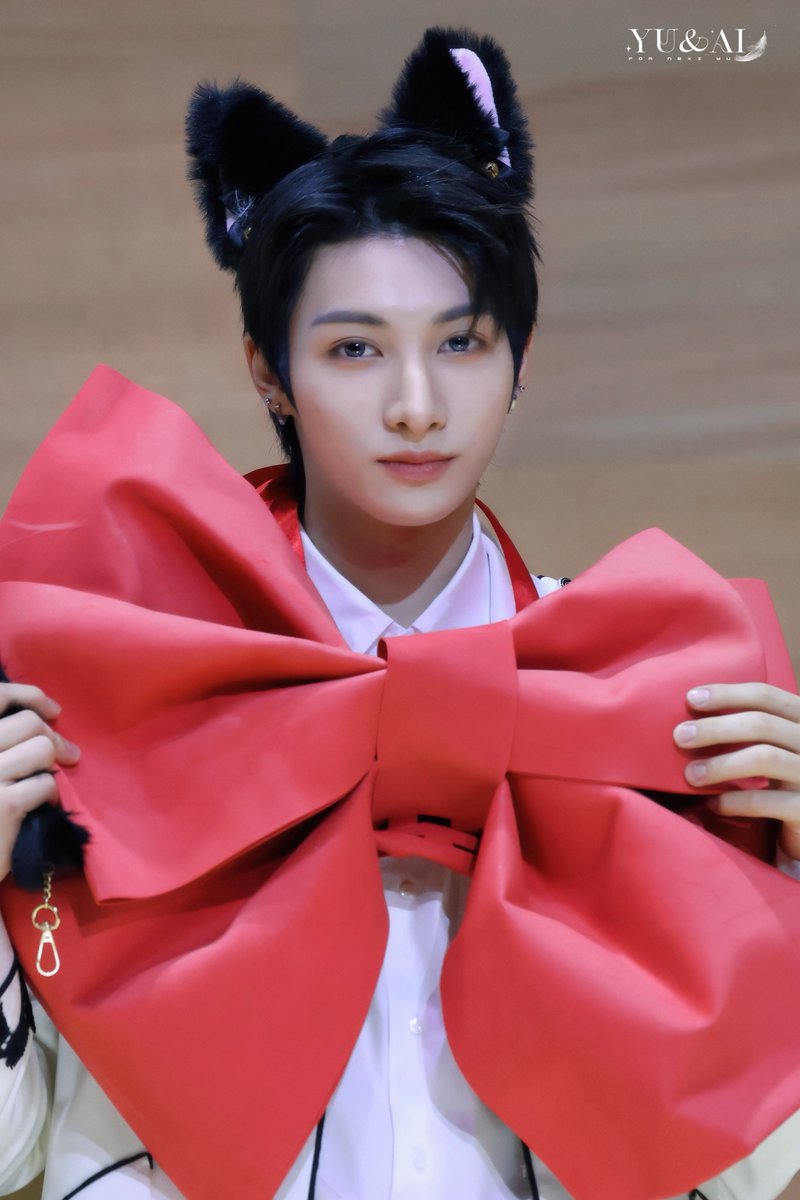 何度も言うけど… この子🐈‍⬛見つけたら無条件に連れて帰るよね