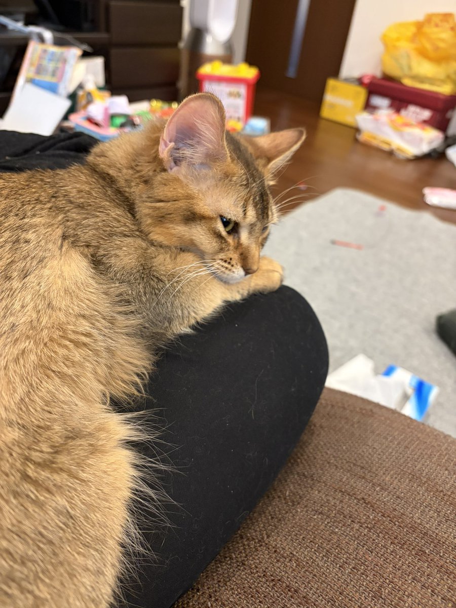 尊厳死 tweet media