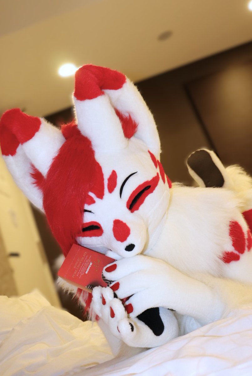 HappyValentine！💝
葛の葉ちゃん🦊からチョコをどうぞ🫶
#FursuitEveryday