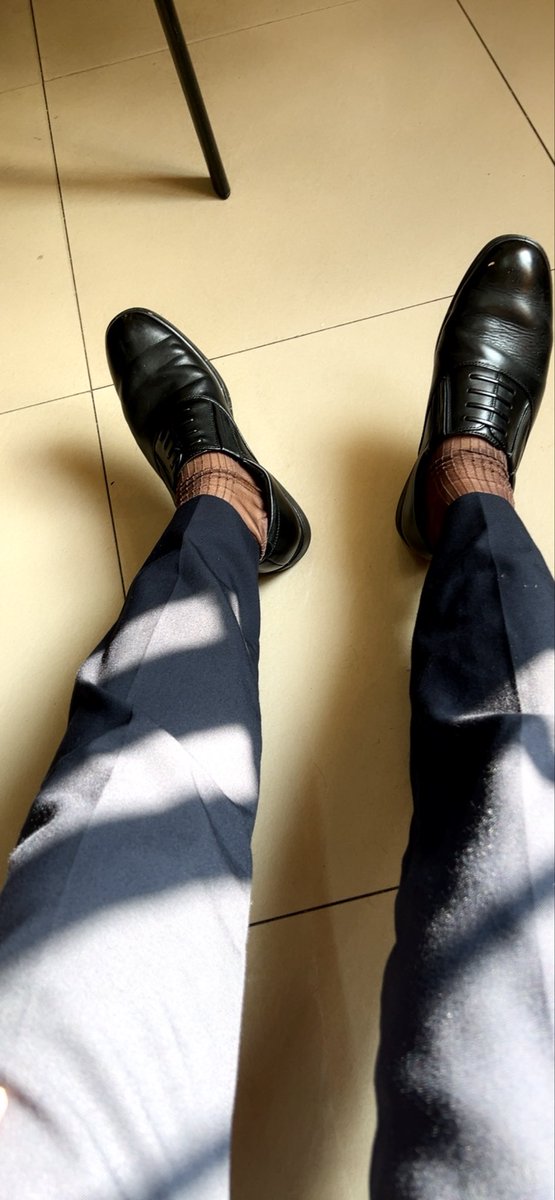 浪荡的风 tweet media