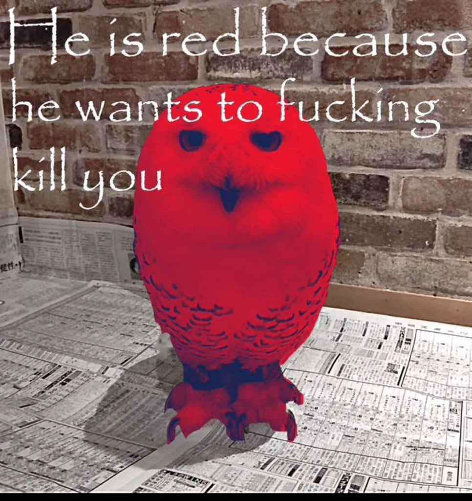 HotProtogenSex's tweet photo. https://t.co/i9FljNcsX5