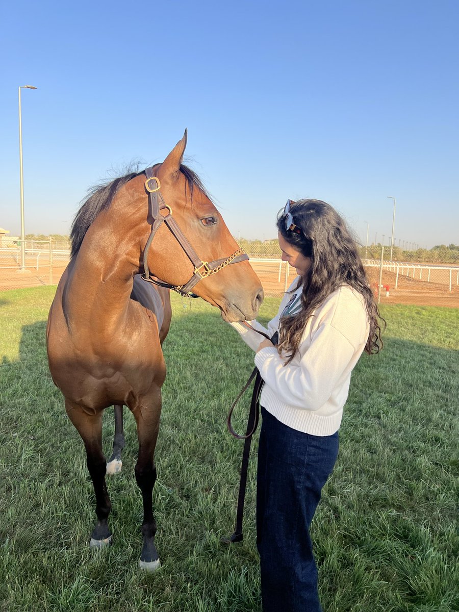 Sayed Hashish tweet media