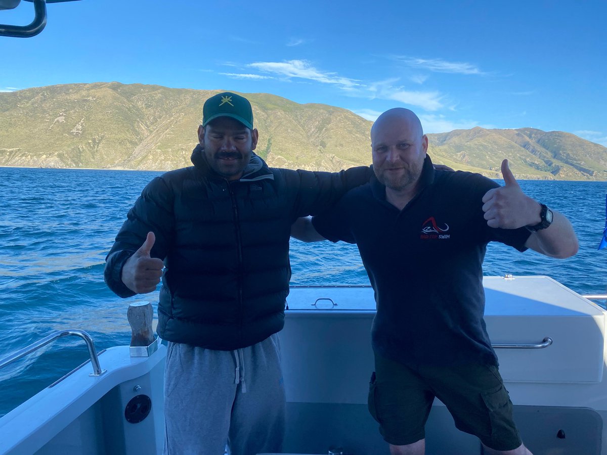 RedTopSwim tweet media