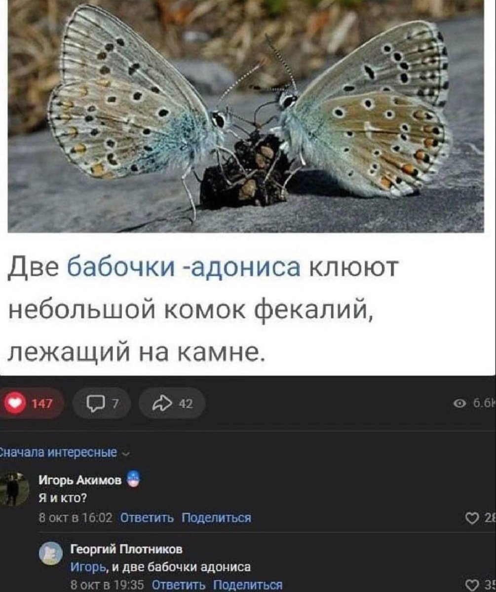 xaxaxxaxxaxa's tweet photo. https://t.co/aVOIh2P5Ai