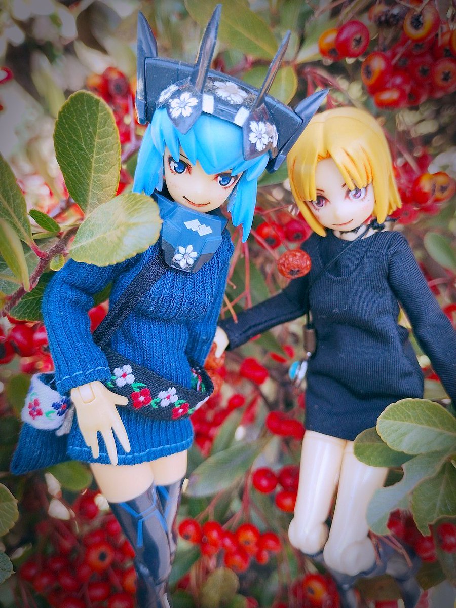 本日のうちの子 260214
#武装神姫 
#busoushinki