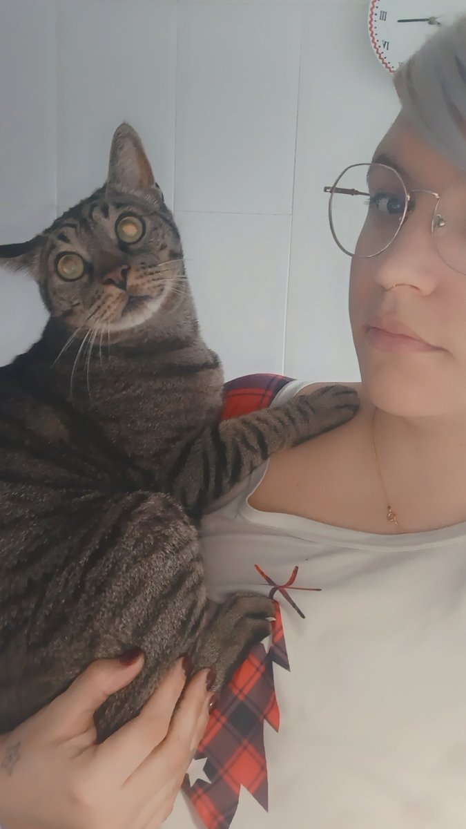 "Los gatos son independientes"
Mi gato mientras me hago el café.
#FelizSabado #Buenosdias