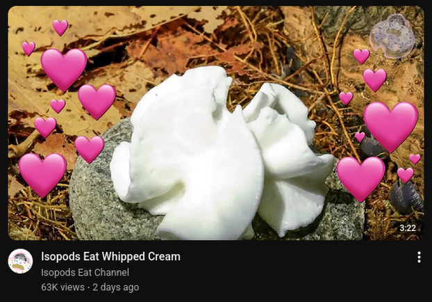 Rift // Bryce tweet media