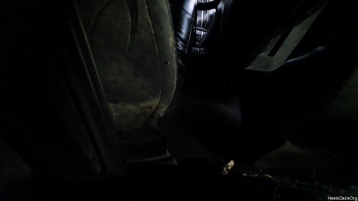 HeelsDazeOrg tweet media