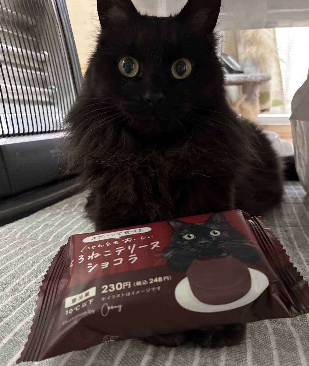 ジジからのバレンタイン