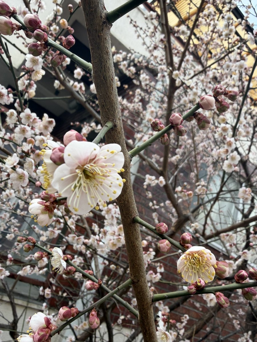 mamorusakata's tweet photo. 応援しています。

いってらっしゃい。

楽しんで。

いまここにいられてこれができること。

全てに感謝。 https://t.co/53D3CcqvtT