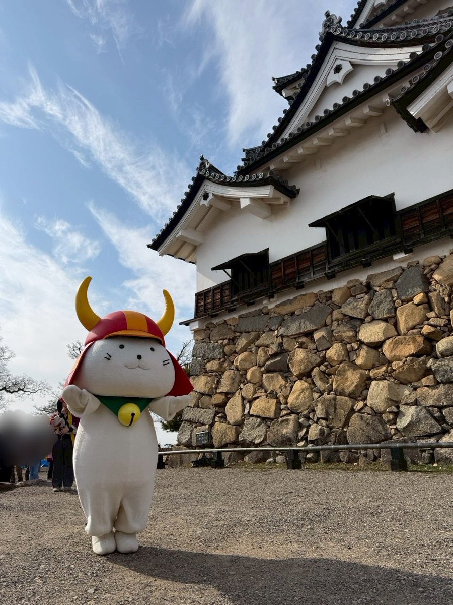 本日の #彦根 は暖かく、過ごしやすい一日でござった✨️

#ひこにゃん 殿は、太陽のきらきらパワーを浴びながら、お客様とお散歩を楽しんでおられたでござる☀️

太陽の光で、明日の分もエネルギーチャージでござるよ😊💪

#いいのすけ #光合成 #元気の充電