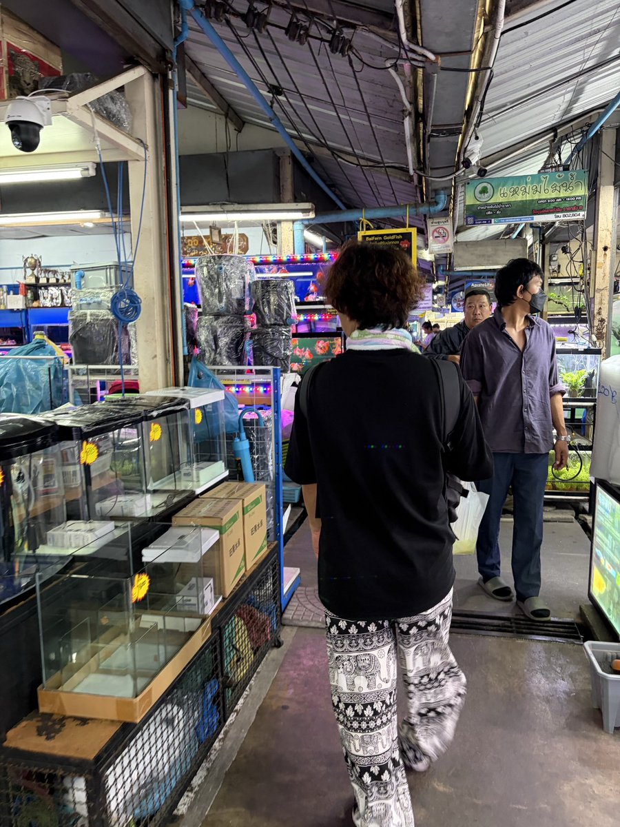 真雅えび tweet media