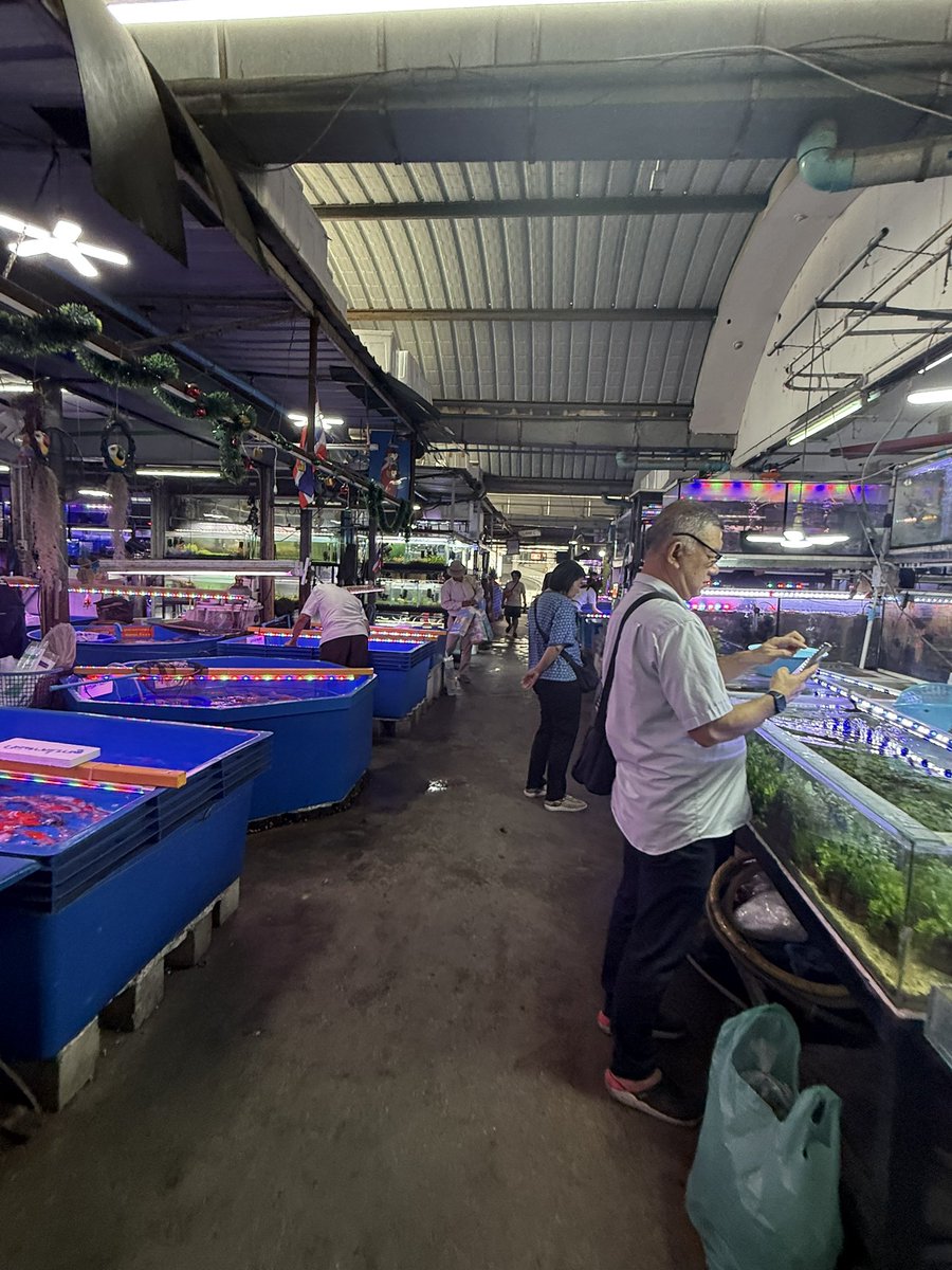 真雅えび tweet media