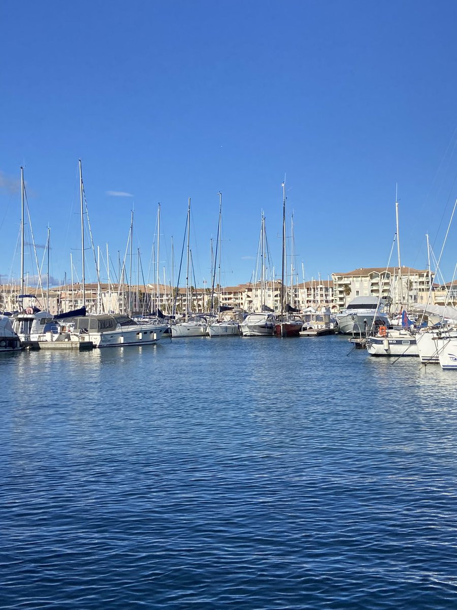 Good Morning Friends