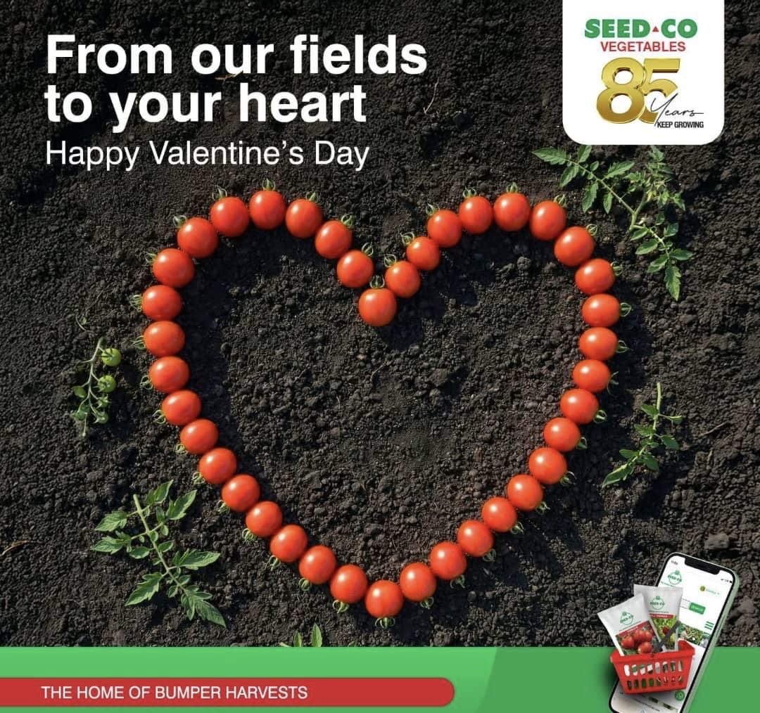 Seed Co Kenya tweet media