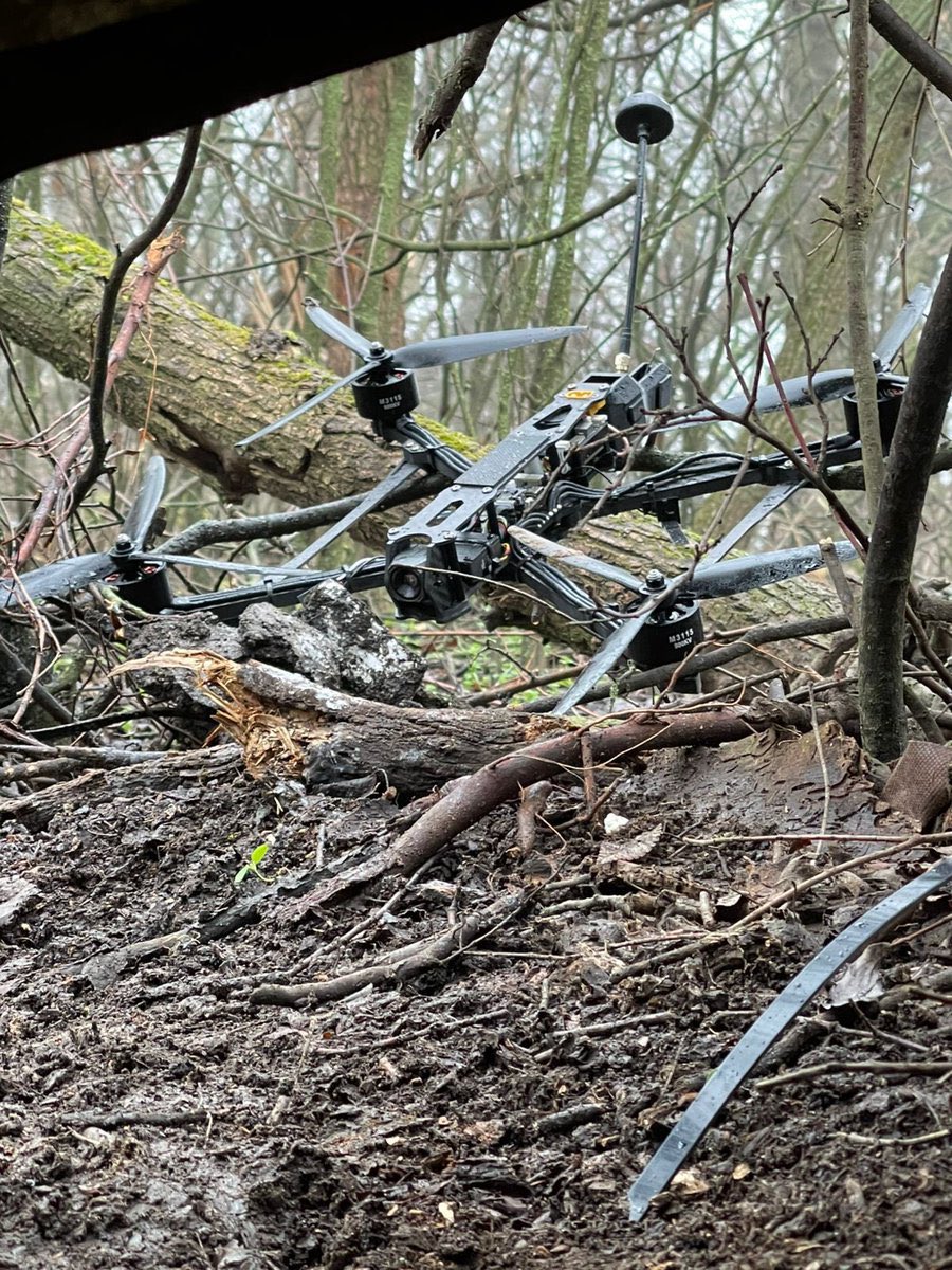 Maruška Blažeková tweet media