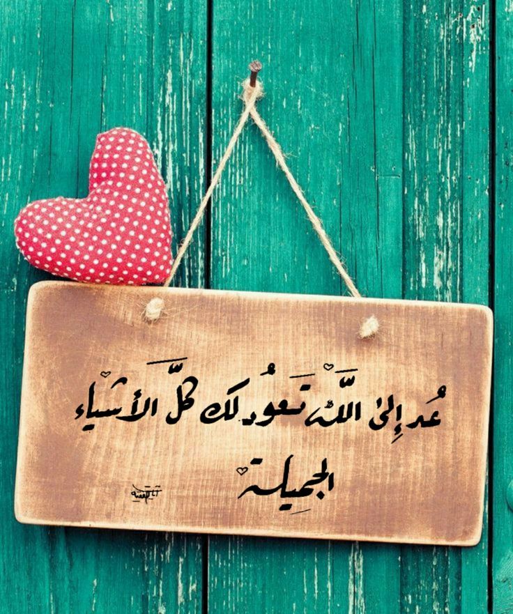 .

سيدبرها الله لا تقلق 🌸