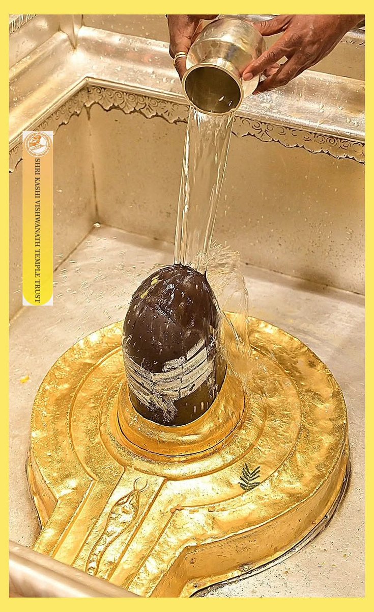 अभिषेक पाण्डेय tweet media