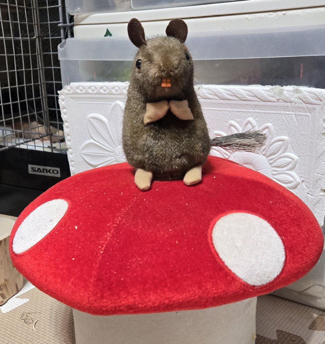 会場を後にする前に、こ、これは…！と思い、チップ君に似た色味の健康