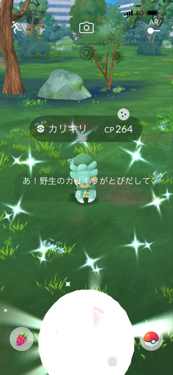 BCHT13's tweet photo. OK👍　何が⁉︎笑
#ポケモンGO  #ポケモンGO色違い https://t.co/cPJ7RcNwSC
