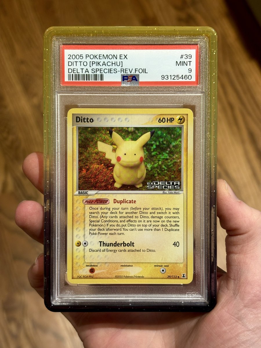 DachshundWizard 🧙‍♂️ tweet media