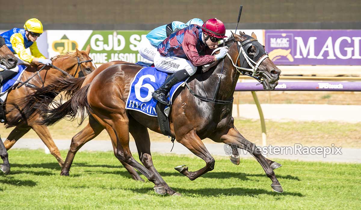 WesternRacepix's tweet photo. SHAMILIAN MISS - Pinjarra Sat 14th February @PinjarraPark #MagicMillions #LadiesDay #WesternRacepix  

More 📸 https://t.co/XhRFkk00xX https://t.co/1MW7EuQUvC