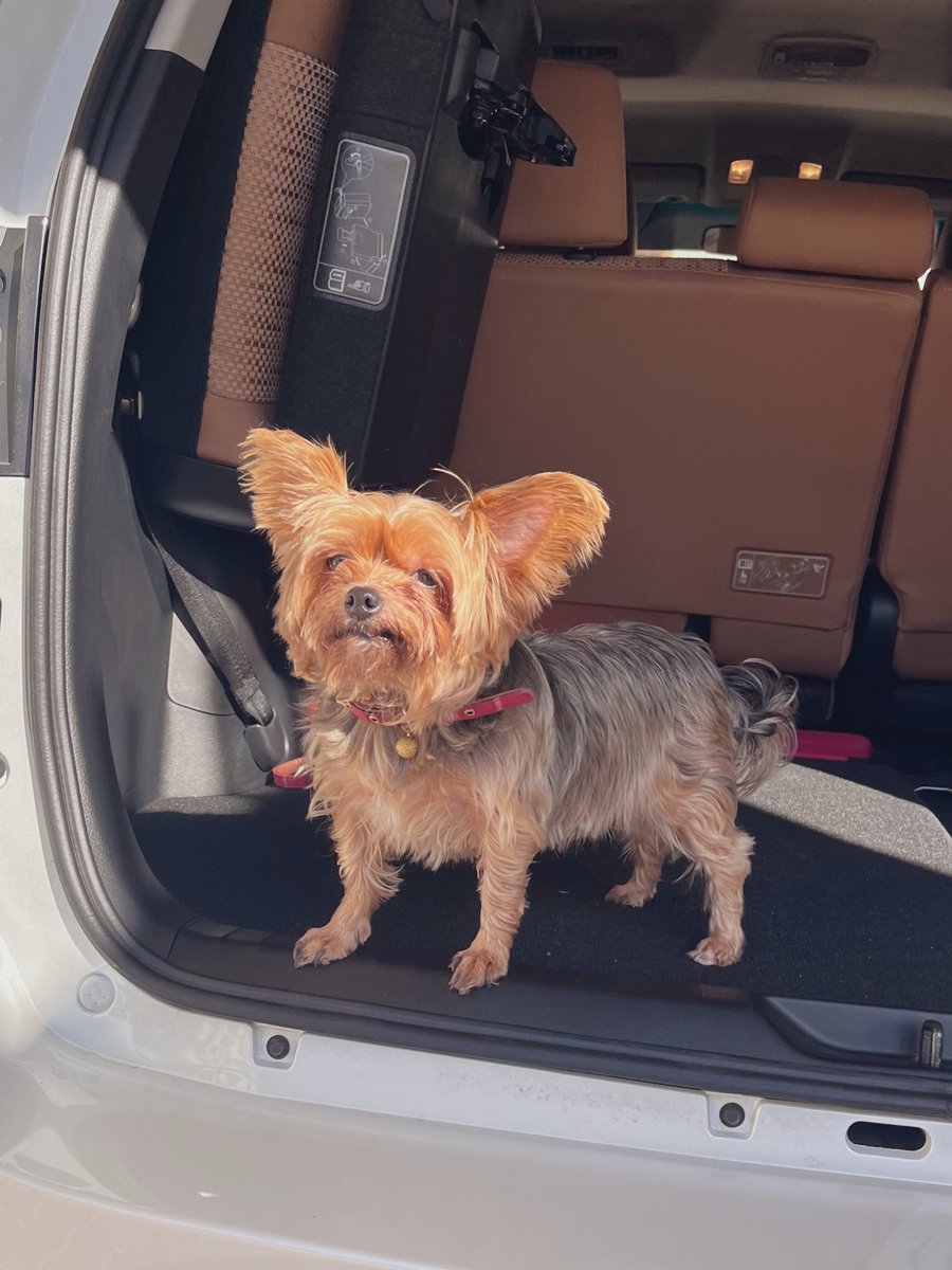 ป่ะ ไป เดท 😍🤍