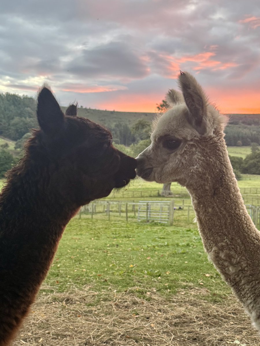 ❤️ Happy Valentine’s Day ❤️