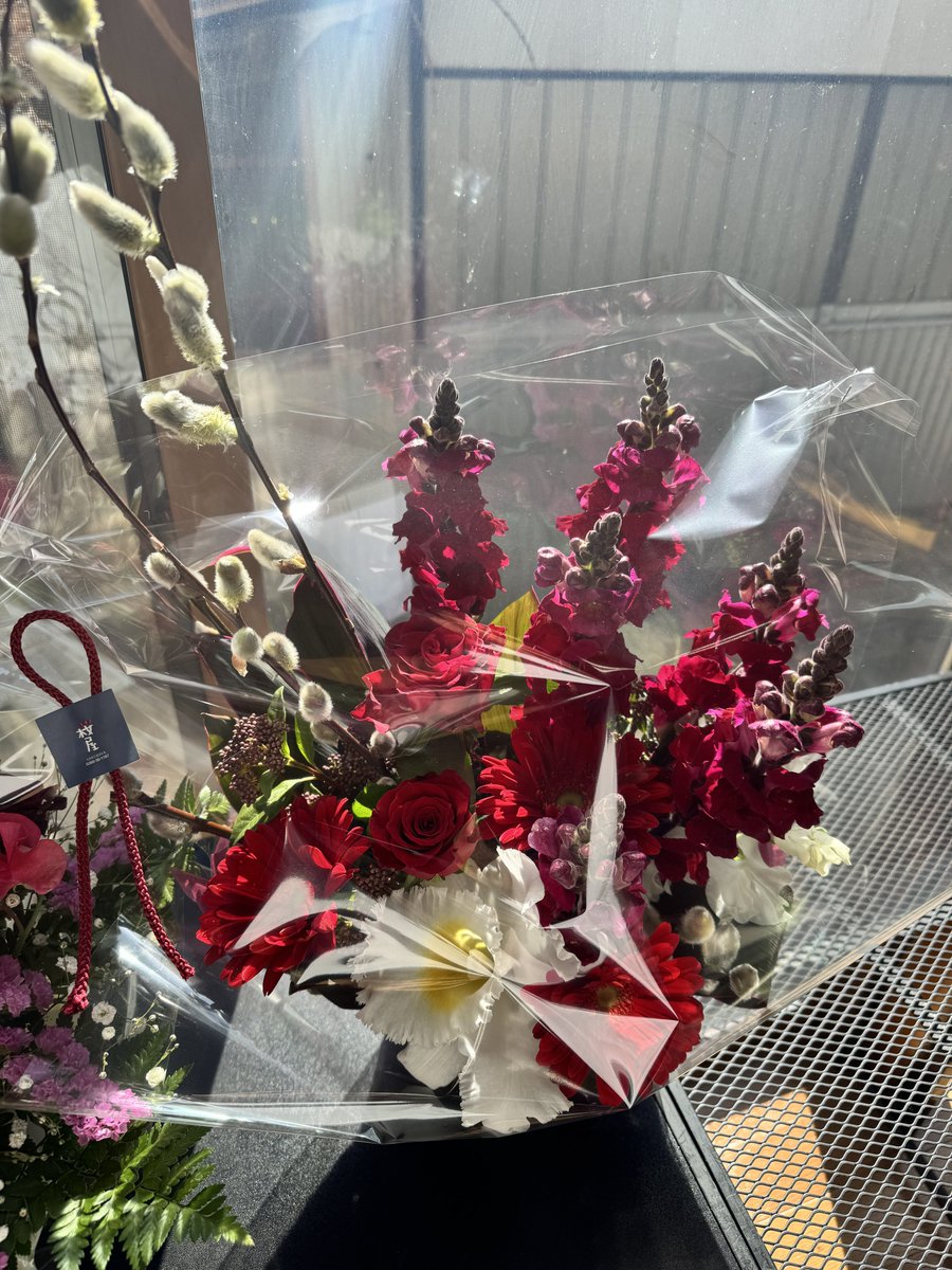 AMAKAWA_AMANE's tweet photo. #2026万美生誕祭
初の主催でひろろさん（@hirorotravel ）からお祝いの花束を頂き、BOSCOさんを貸切での開催でした。
応援に下諏訪 綿音ちゃんと大子紅葉ちゃんも！

大きなトラブルも無く終わることができました、ありがとうございます！！ https://t.co/u5Y4vSRR81