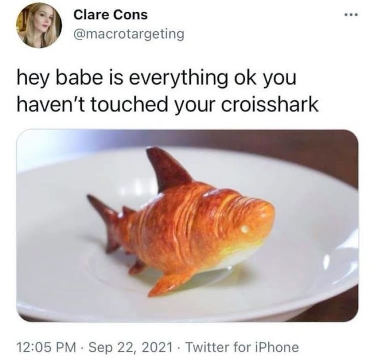 croisshark