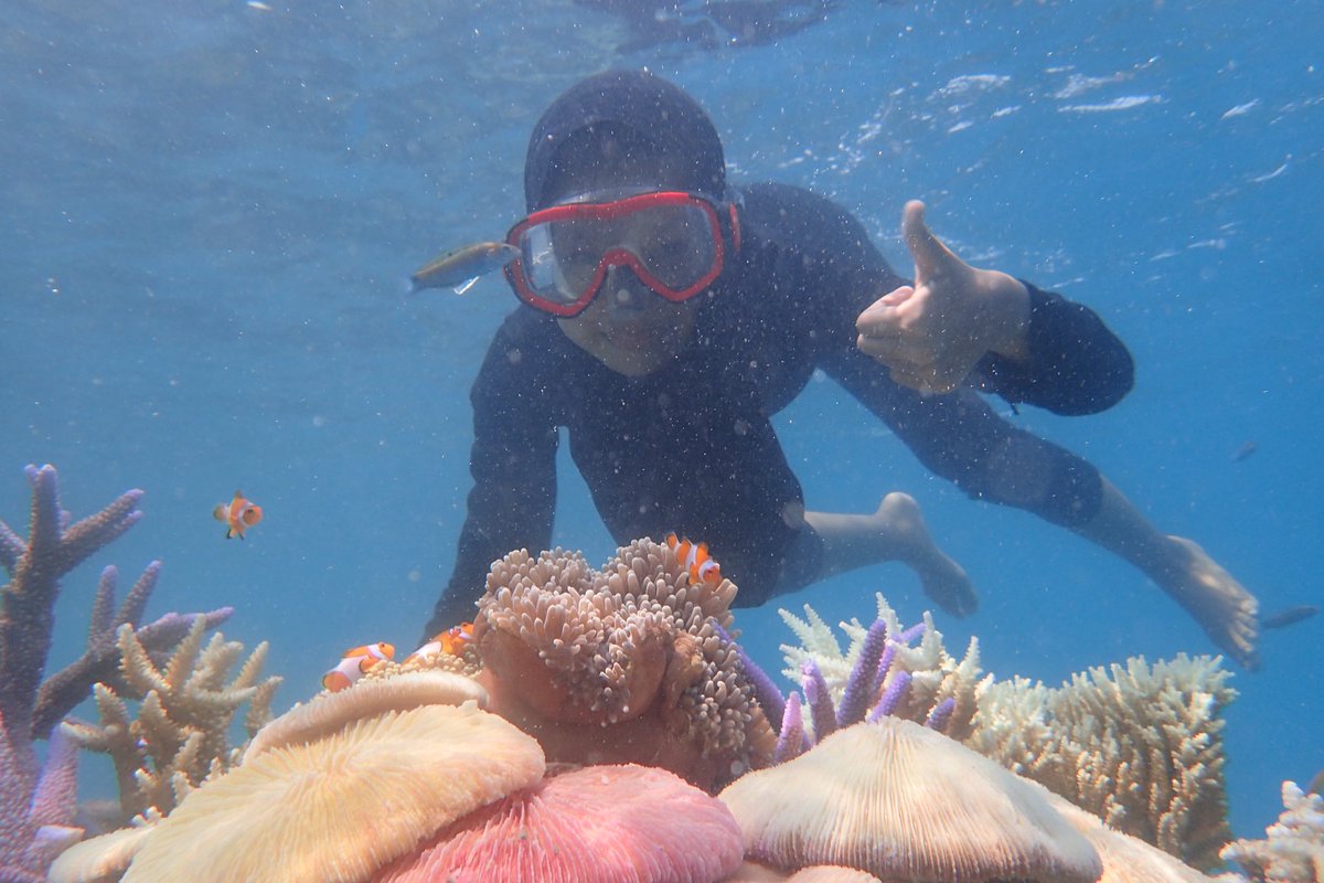pmarthaony's tweet photo. 📌 Karimun jawa, Desember 2023 https://t.co/mXjgD4UOkG
