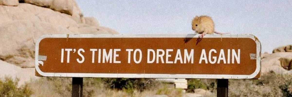 Dream again.