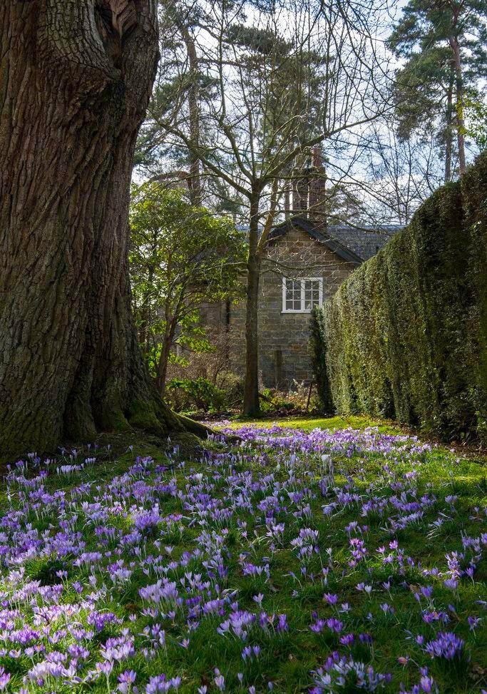 Daily Word: Stand fast therefore in the liberty wherewith Christ hath made us free, and be not entangled again with the yoke of bondage.
Galatians 5:1