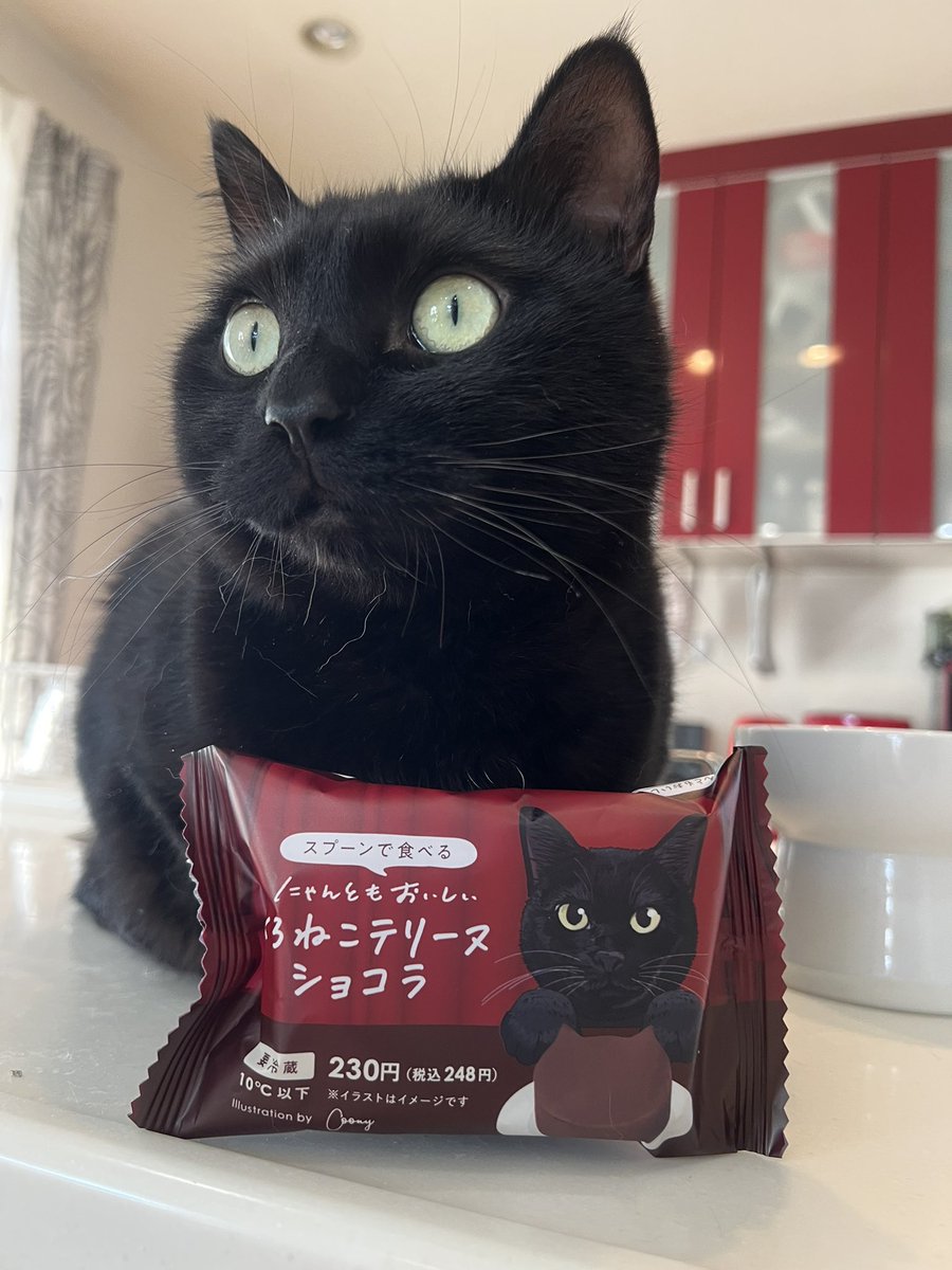 そら似のをチョイスさせていただきましたー🐈‍⬛
<a href="/Coony_illust/">Coony｜クーニー_猫専門イラストレーター</a> 
<a href="/neko_cheese_/">ねこねこチーズケーキ【公式】</a>