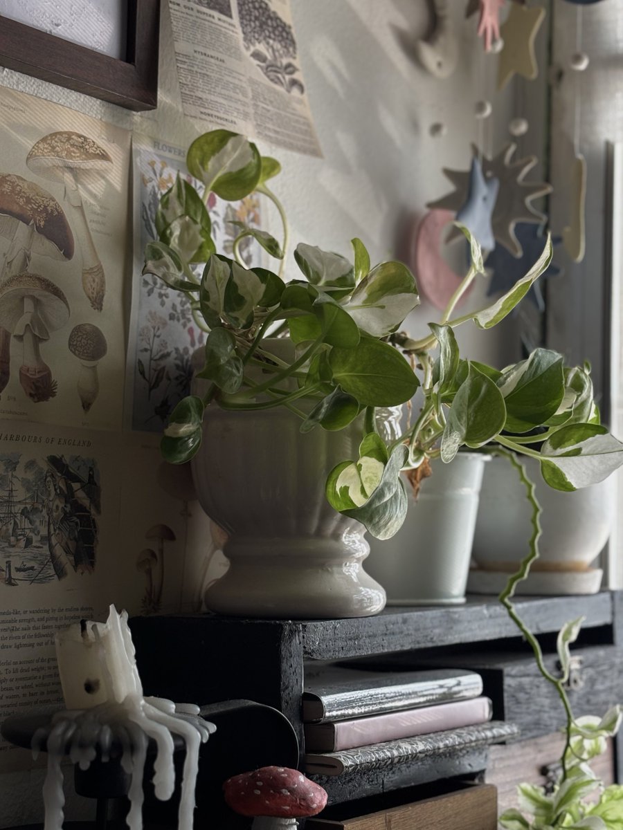 สวัสดีวันเสาร์ 🍂☁️