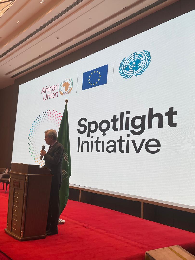 EU Delegation to AU tweet media