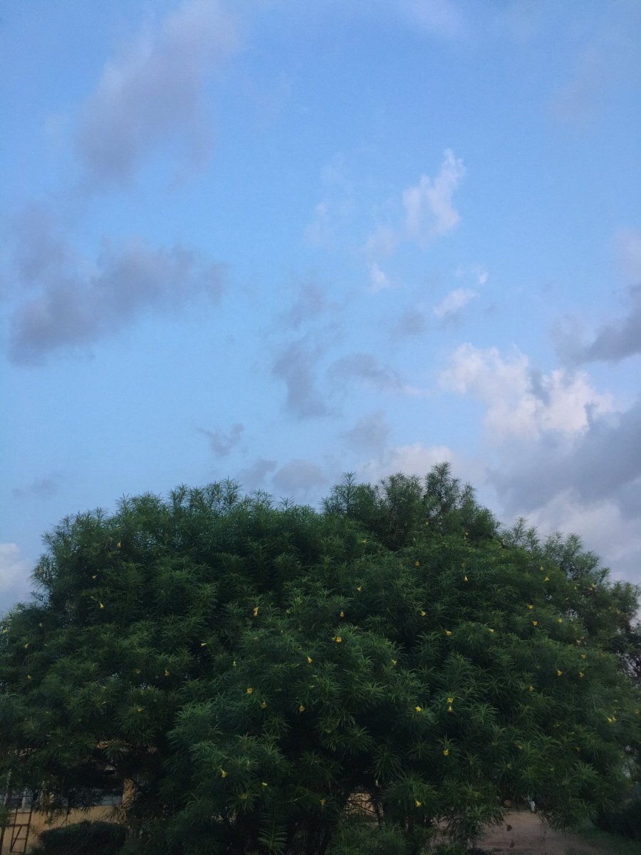 hue 🎨 (@thewittyblessed) on Twitter photo 