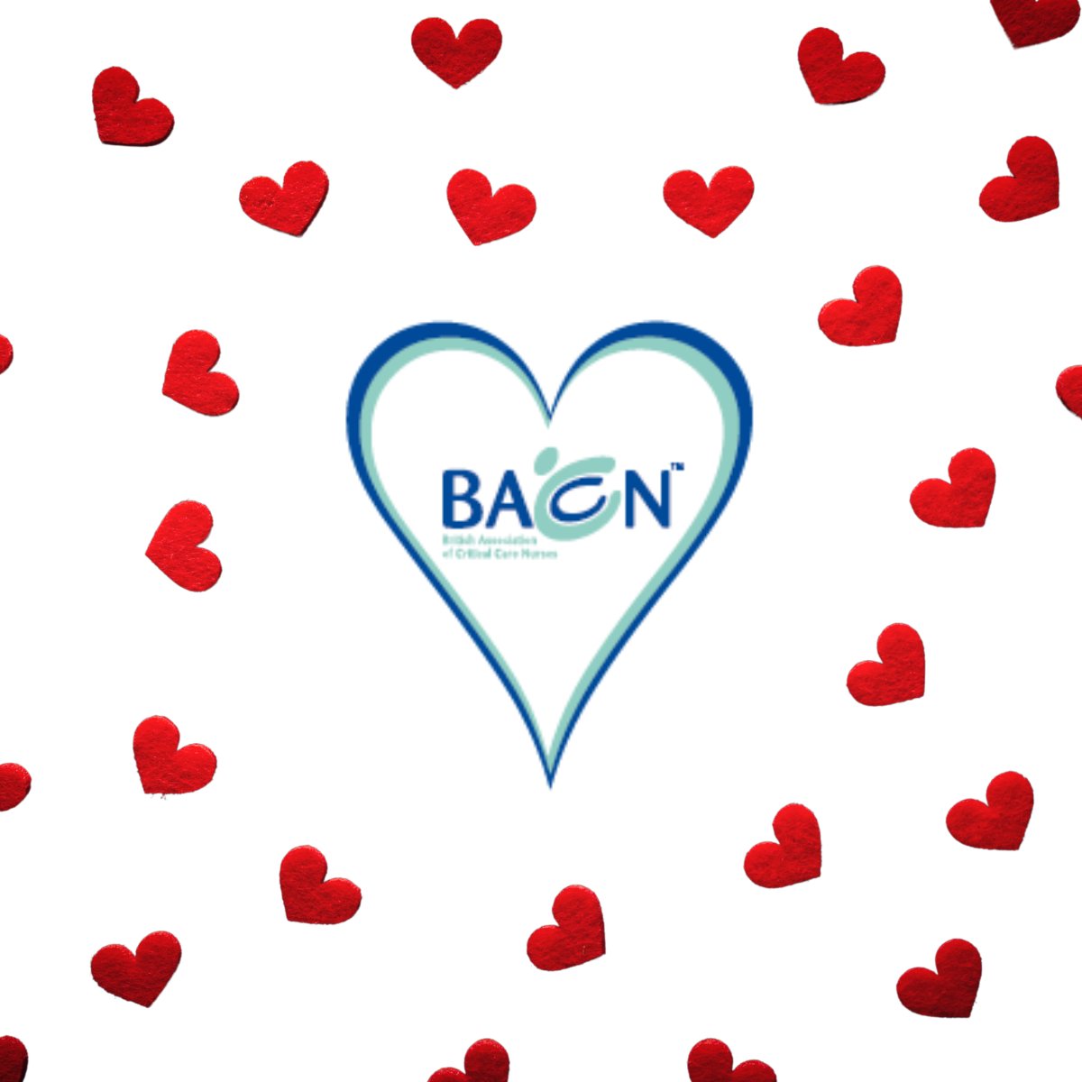 BACCN 💙 tweet media