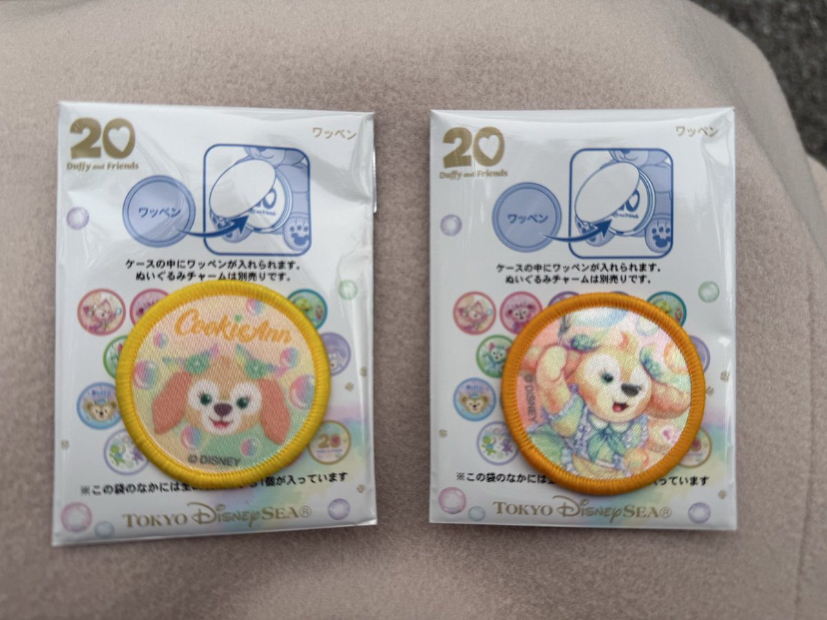 【交換】ディズニー ダッフィー＆フレンズ 20周年 カラフルハピネス ワッペン 交換

譲：クッキーアン

求：シェリーメイ、ダッフィー、リーナベル（アップどちらでも）

本日現地ディズニーシー内の交換を優先で探しております。
お気軽にお声掛けください。
#ディズニー交換