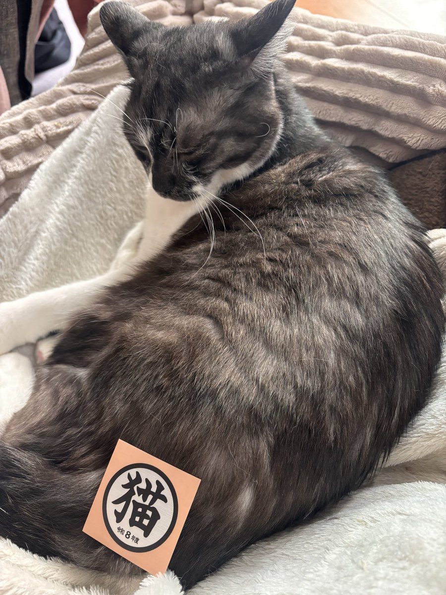 つむぐ tweet media