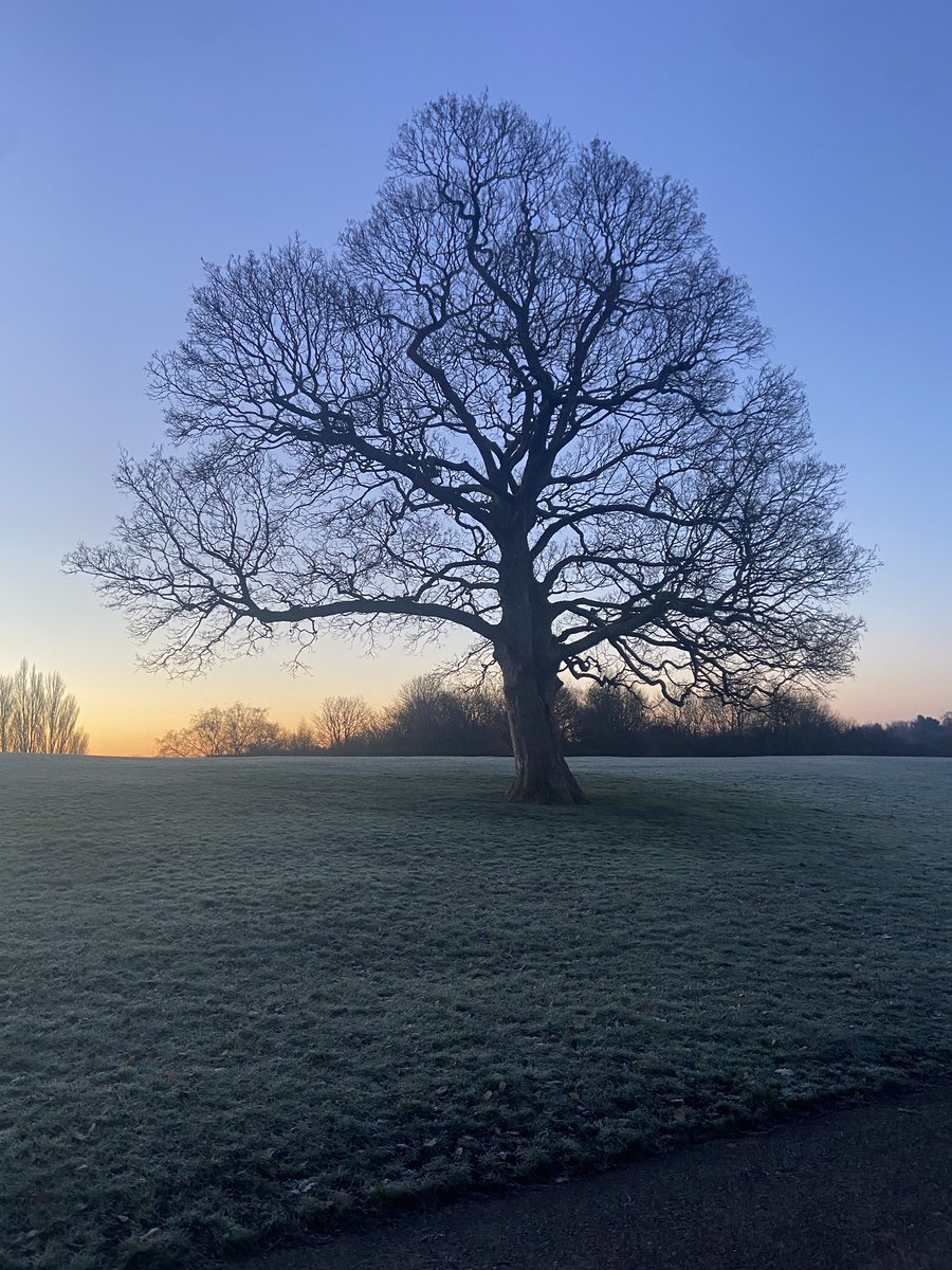 Heaton parkrun tweet media