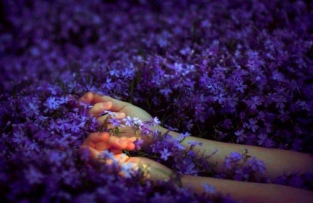 Again and again we know the landscape of love…among the flowers face to face with the sky~

R M Rilke