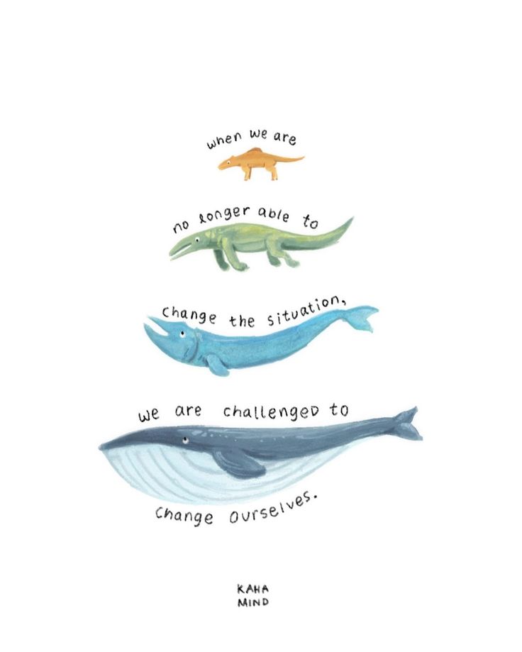 POSITIVITY (@positivitysaid) on Twitter photo 